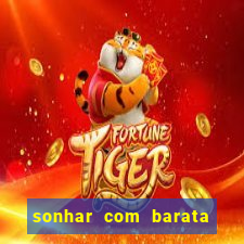 sonhar com barata jogo do bicho